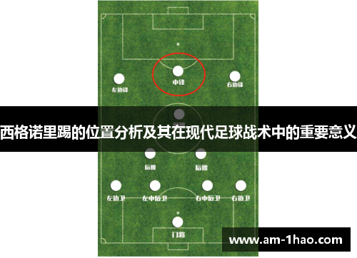 西格诺里踢的位置分析及其在现代足球战术中的重要意义