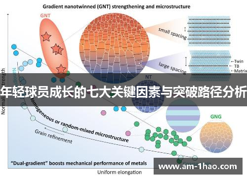 年轻球员成长的七大关键因素与突破路径分析 年轻球员成长的七大关键因素与突破路径分析