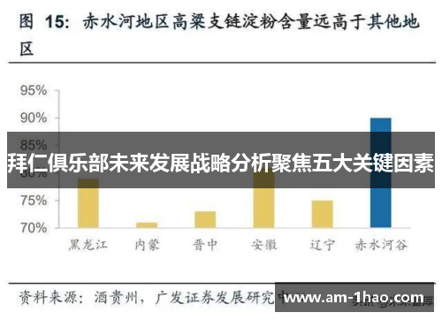拜仁俱乐部未来发展战略分析聚焦五大关键因素 拜仁俱乐部未来发展战略分析聚焦五大关键因素
