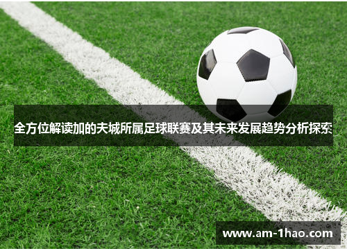 全方位解读加的夫城所属足球联赛及其未来发展趋势分析探索 全方位解读加的夫城所属足球联赛及其未来发展趋势分析探索