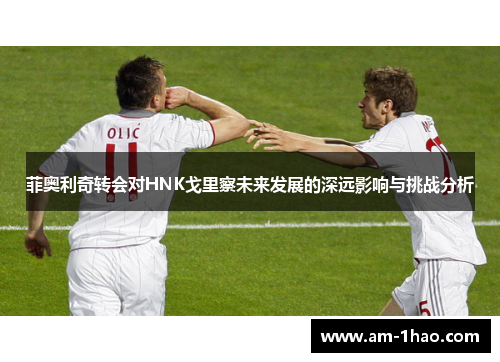 菲奥利奇转会对HNK戈里察未来发展的深远影响与挑战分析