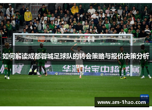 如何解读成都蓉城足球队的转会策略与报价决策分析