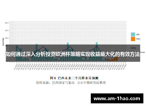 如何通过深入分析投资欧洲杯策略实现收益最大化的有效方法