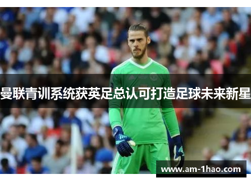 曼联青训系统获英足总认可打造足球未来新星 曼联青训系统获英足总认可打造足球未来新星