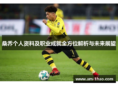 桑乔个人资料及职业成就全方位解析与未来展望