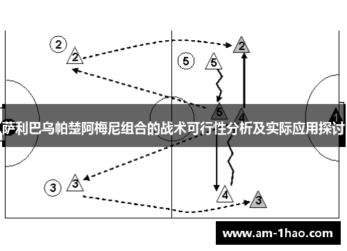 萨利巴乌帕楚阿梅尼组合的战术可行性分析及实际应用探讨