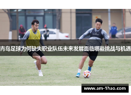 青岛足球为何缺失职业队伍未来发展面临哪些挑战与机遇 青岛足球为何缺失职业队伍未来发展面临哪些挑战与机遇