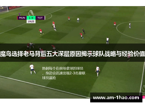 魔鸟选择老马背后五大深层原因揭示球队战略与经验价值 魔鸟选择老马背后五大深层原因揭示球队战略与经验价值
